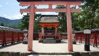 小さな神社で、ポツンと建っています