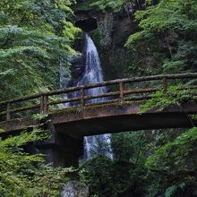 滝見の橋越しの滝