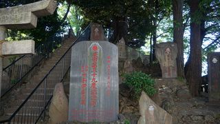 本物の富士に見立てた造りなんだと思いますが