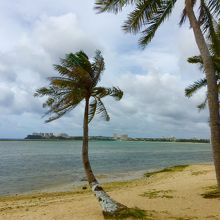 トゥリカフェ テラス席からの景色