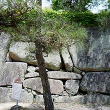 この高さまで水位がきた