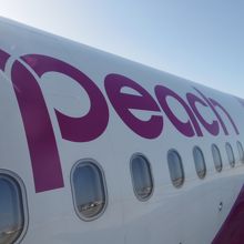ピーチ機体