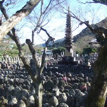 不思議な光景が続く、あだしの念仏寺です。