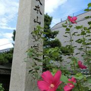 芙蓉で有名なお寺だけど、穴場かも？