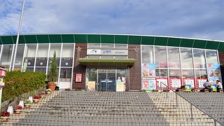 餃子がたくさん