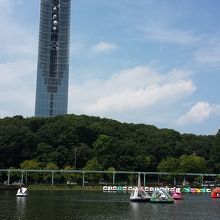 そびえ立つタワーのふもとに広がるのは動物園