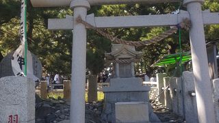 石に願いを・・・