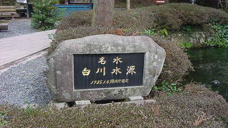 美しさに目を見張る