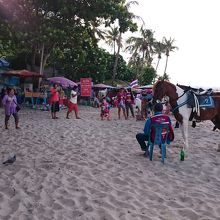 乗馬の馬がビーチにいます