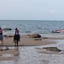 海辺で乗馬をしています