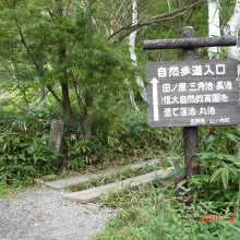 志賀高原自然歩道（自然探勝コース）入口