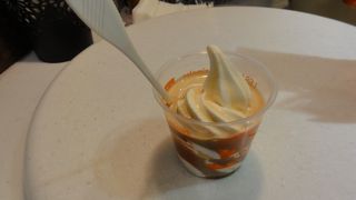 ｄポイントキャンペーンしてました