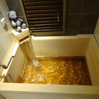 部屋のお風呂も温泉給湯。一部シャワーブースのみの部屋もあり