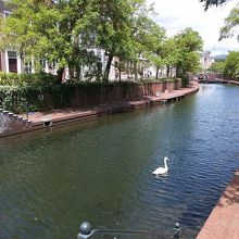 園内には、こんな風景が広がる