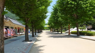 聞慶セジェ道立公園