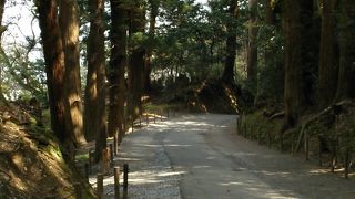 ひざが笑います＾＾；