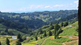 山古志の主要道路沿いから見ることのできる棚田【油夫と虫亀】