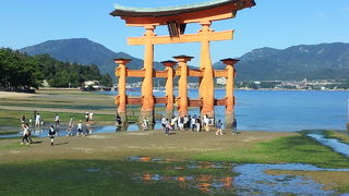 フランス人の友人も大喜びでした！