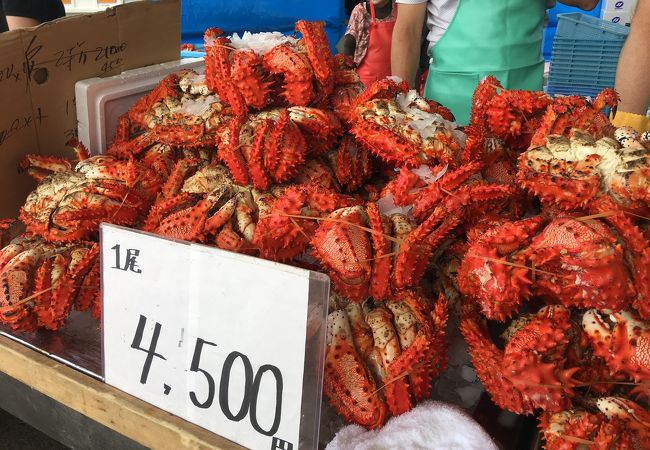 根室かに祭り クチコミ アクセス 営業時間 根室 フォートラベル
