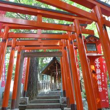 たくさんの鳥居