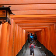 千本鳥居