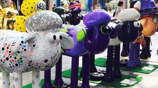 楽しんできました。