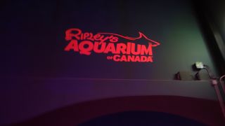 CNタワーすぐ横にある水族館