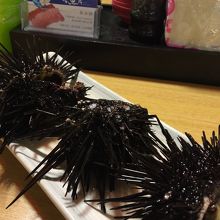 ウニは一個100ドル