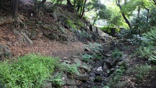 数少ない紅葉の名所