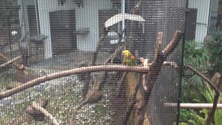 都心のオアシス