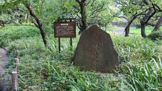 梅屋敷銀世界と