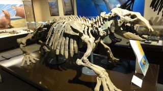 わかり易い展示