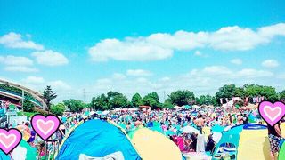 毎年必ず行きます