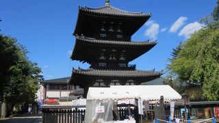 特別開扉を見た後は、ＶＲコンテンツを体験しましょう！