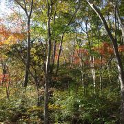 神山・駒ヶ岳に紅葉を見に行きました