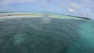 サンゴを削った船の道