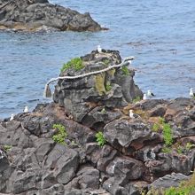 アイヌの横顔みたいな自然岩