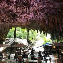 珍しい洞窟カフェ