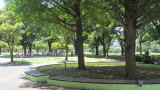 緑豊かですが・・・