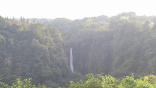 橋から見えます。