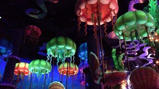 蛍光色が見た目もきれい