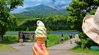 利尻でここだけ♪ハマナス・熊笹のソフトクリーム