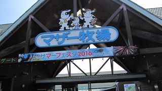 たくさん動物がいます