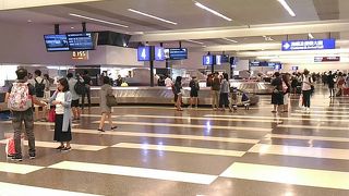 コンパクトにまとまっています。