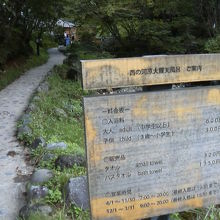 朝早くからやっています。