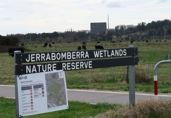 ジェラボンベラ ウェットランズ自然保護区