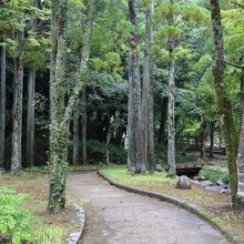 公園の遊歩道