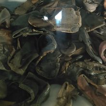 持ち主をなくした靴