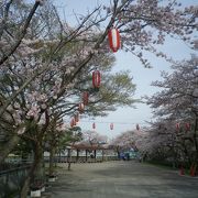 はむらと花と水のまつり