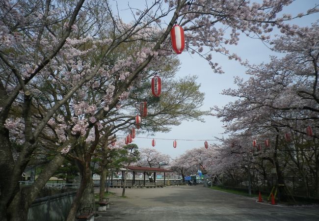 はむらと花と水のまつり